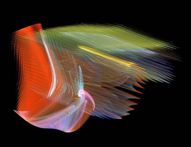 Siyah Renk Üzerine Bir Dijital Fraktal Resmi