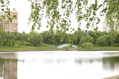Yazlık park, güneşli yaz gününde.