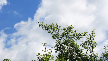 Mavi gökyüzünde bulut