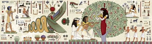 Стародавній Єгипет Фону Єгипетський Ієрогліфом Symbolancient Культури Співати Символ Морфологія Ліцензійні Стокові Ілюстрації