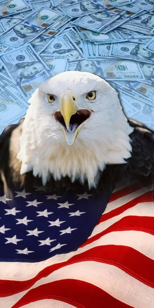 Adler, Fahne und Geld. — Stockfoto