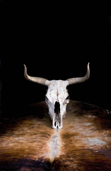 Western cow skull on leather hide with room for your type.