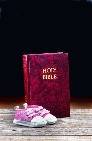 Bebés y Biblias . — Foto de Stock