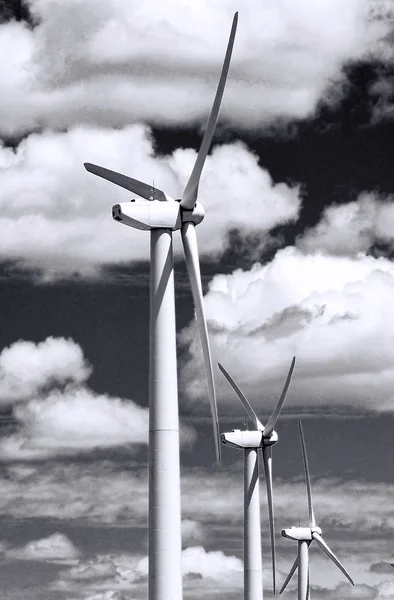 Wind farm at West Texas in black and white.