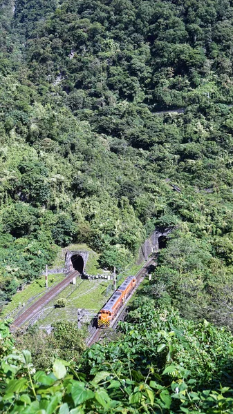 Vysokorychlostní Osobní Vlak Výhledem Hory Tchaj Wanu — Stock fotografie