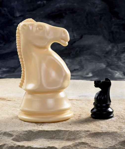 Chess Pieces Knight Knight — Stock Photo, Image