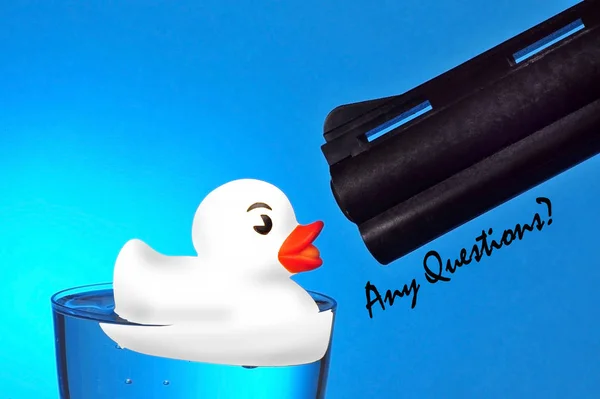 Any Questions White Toy Duck Gun — Stock Photo, Image