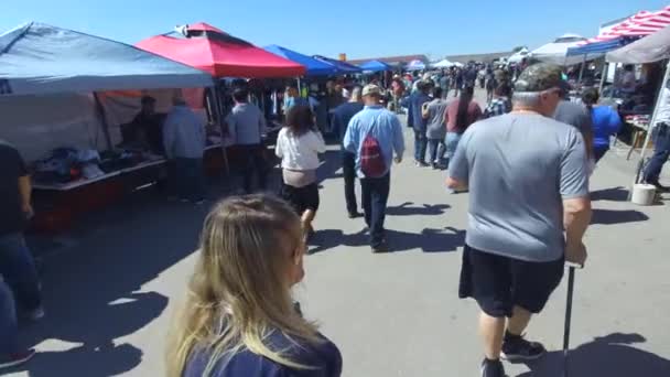 Grand Prairie Texas Março 2019 Traders Village Grand Prairie Texas — Vídeo de Stock