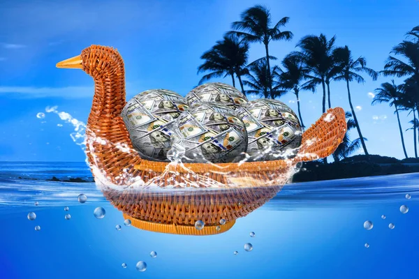 Duck basket full of money balls. — Stock Photo, Image