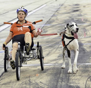 Dev Dalmation ve Bisiklet Ridder.