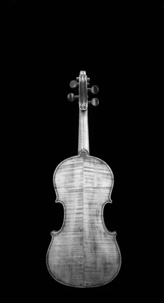 Lado Posterior Del Violín Viejo Blanco Negro Con Espacio Para —  Fotos de Stock