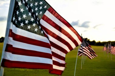 Senin gibiler için yeri olan Amerikan bayrağı. 