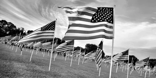 Weergave Van Amerikaanse Vlaggen Voor Memorial Day — Stockfoto