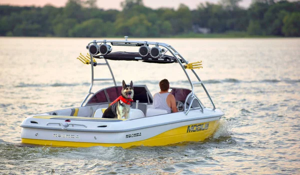 得克萨斯州阿灵顿市 2020年9月15日下午晚些时候 阿灵顿湖上的一个划船手带着他最好的朋友 狗在这个大流行病大流行的季节里兜风 注意那只狗穿着救生衣 — 图库照片