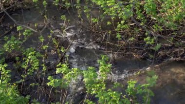 dere akar bahar orman arasında