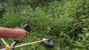 Bir adam çim makası ile mows.