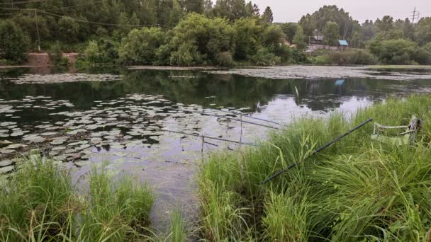 Uomo Pesca Dalla Riva Del Lago — Video Stock