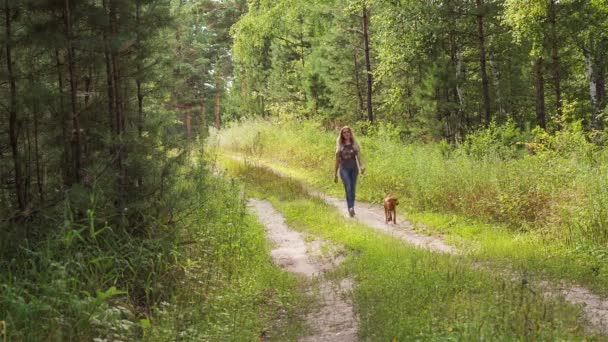 Une Fille Chiot Marchent Long Une Route Forestière — Video