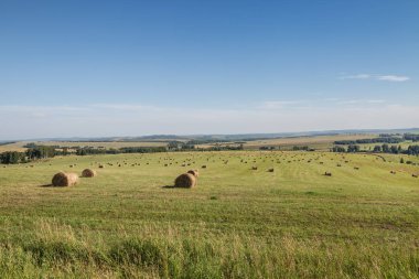 Saman eğimli bir sahada rulo