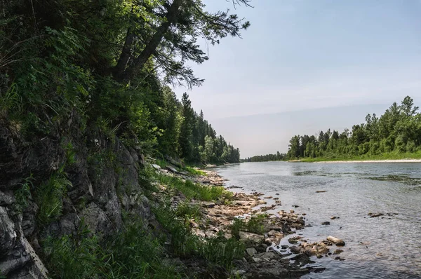 Река Терс Западной Сибири Летом — стоковое фото