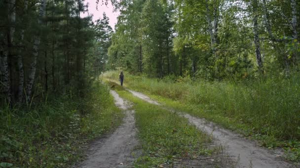 Uma Menina Filhote Cachorro Estão Andando Longo Uma Estrada Florestal — Vídeo de Stock