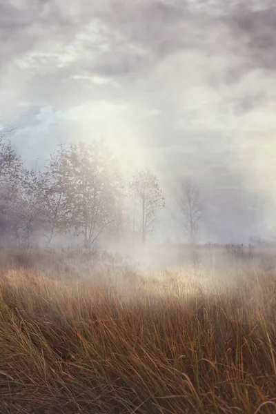 Foggy Morning Wild Meadows — Stock Photo, Image