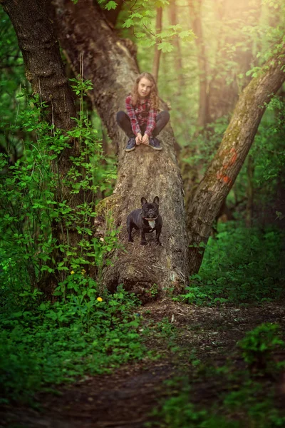 女孩在一棵树与狗在夏天温暖的天 — 图库照片