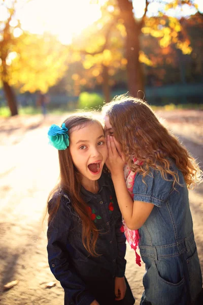 Happy Young Girl Firnds — Stock Photo, Image