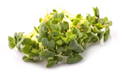 beyaz bir arka plan üzerinde microgreens ve sağlıklı lahana