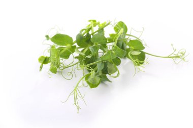 beyaz bir arka plan üzerinde microgreens ve sağlıklı lahana