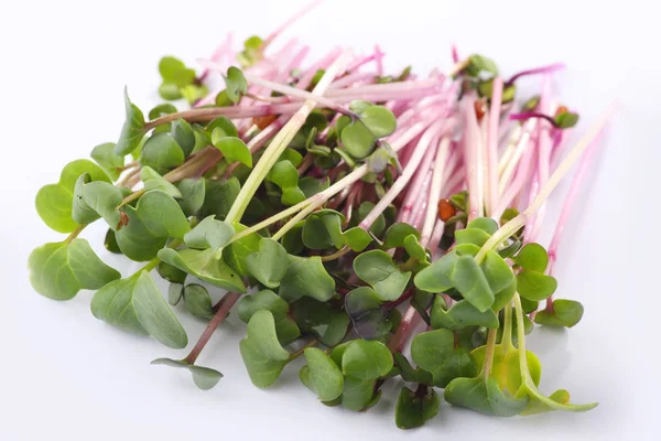 Micro Greens Gezonde Spruiten Een Witte Achtergrond — Stockfoto