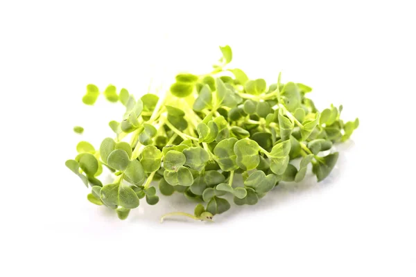 Микрозелень Здоровые Ростки Белом Фоне — стоковое фото