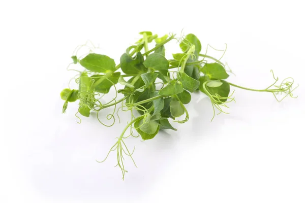 Micro Greens Gezonde Spruiten Een Witte Achtergrond — Stockfoto