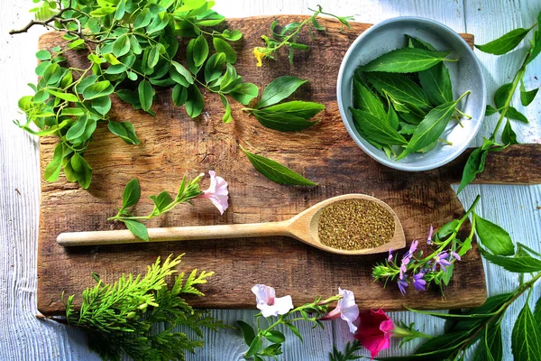 Provencal Herbs Spoon Kitchen — Stock Photo, Image