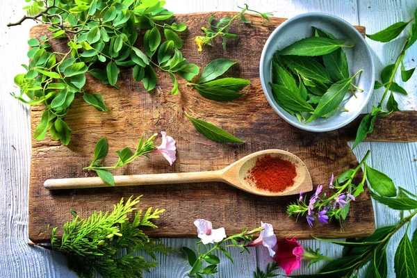 Mutfakta kaşıkta kurutulmuş biber.