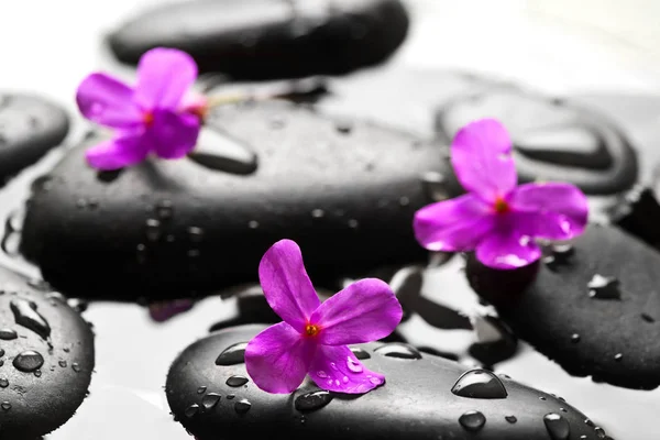 Grey Wet Pebbles Flowers Background — Stock Photo, Image