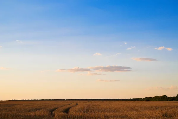 Небо Заходу Сонця Літній Час — стокове фото