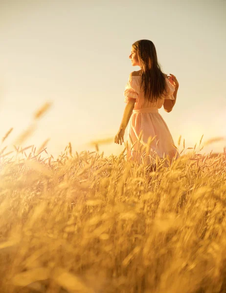 夕暮れ時の小麦畑の若い女性は — ストック写真