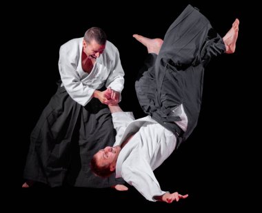 Dövüş sanatları savaşçı izole siyah