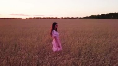 Genç kız, buğday alanı (ile fişekleri sürüm)