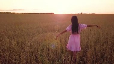 Genç kız, buğday alanı (ile fişekleri sürüm)