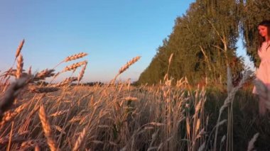 Buğday alanında (hiçbir işaret fişeği ver genç kız)