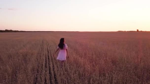 Young Girl Wheat Field Flares Ver — Stock Video