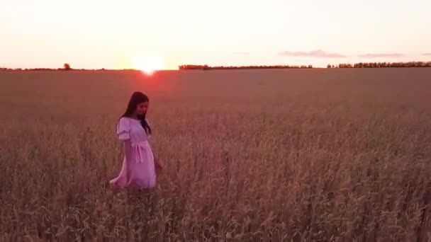 Νεαρό Κορίτσι Στο Πεδίο Σιτάρι Καμία Ver Φωτοβολίδες — Αρχείο Βίντεο