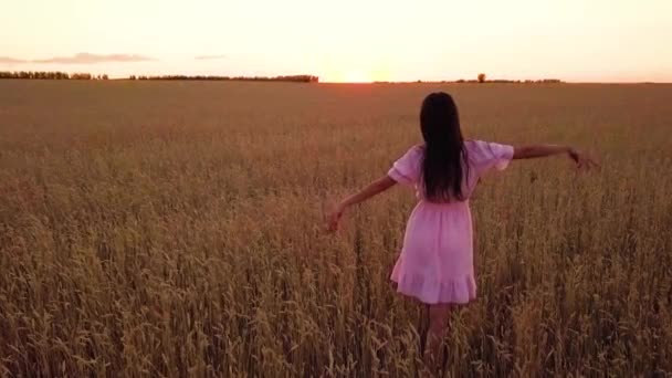 Giovane Ragazza Nel Campo Grano Senza Razzi Ver — Video Stock