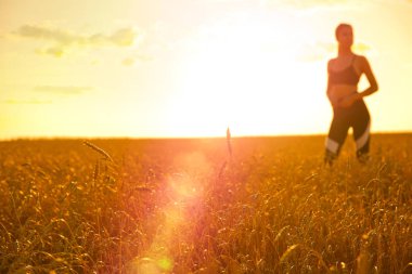 gün batımında buğday alanında genç kız