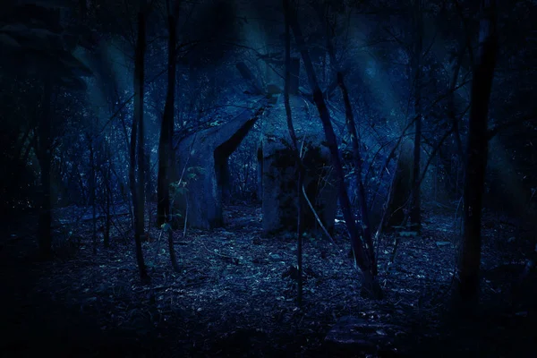 Ruins Night Forest — Stock Photo, Image