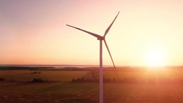 Wind Power Generators Sunset — Stock Video