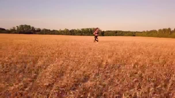 Zpomalený Pohyb Běžce Dívka Pšeničné Pole — Stock video