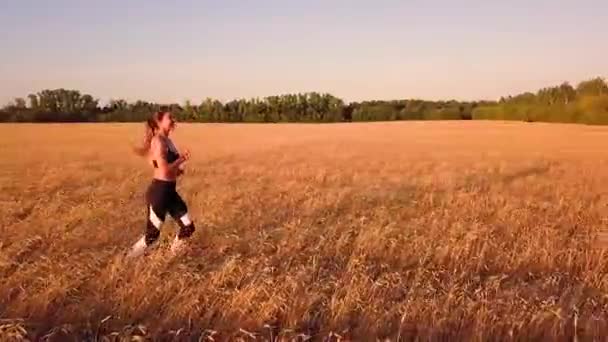 Joven Corredor Chica Deportiva Campo Trigo — Vídeo de stock